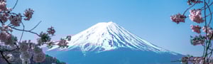 info_japan